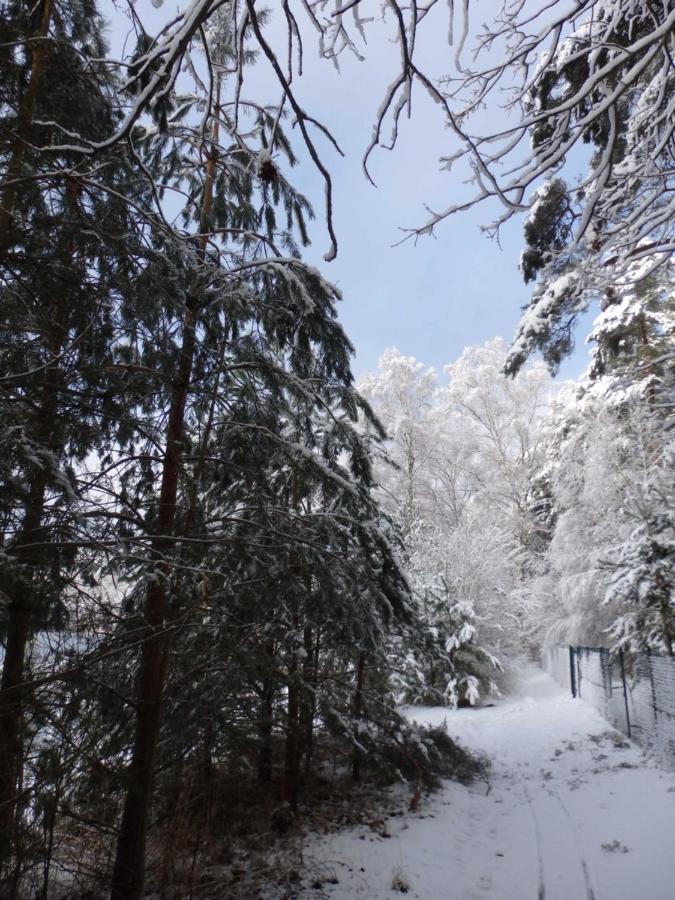Dependance Ferienhaeuser Am Kastavensee 利兴 外观 照片